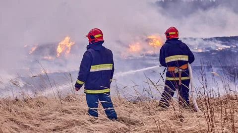 Spring forest fires are raging. Burning dry grass, reeds in the field. Grass Stock Photos