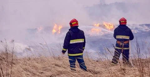 Spring forest fires are raging. Burning dry grass, reeds in the field. Grass Stock Photos