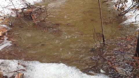 Spring in Forest / Flow of Thawing Water Flowing Down Through a Spring Forest Stock Footage 85038073