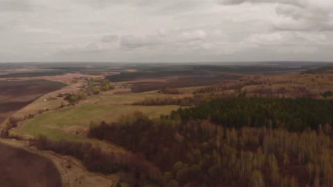 Spring forest Stock Footage 146612894