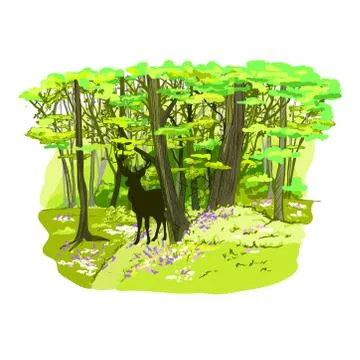 Spring forest full of flowers and fresh green grass Stock Illustration