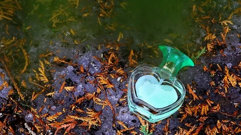 Spring forest glass perfume bootle heart symbol nobody hd footage Stock Footage 104761745