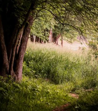 Spring forest Stock Illustration