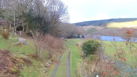 Spring Forest with lake 1080p Drone Shot Video stock 103221923