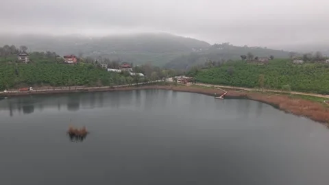 Spring Forest Lake in Green Nature with Slow Drone Rise at End Stock Footage 335514081