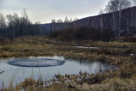 Spring forest lake with a round melting ice floe in the middle. Spring in the Stock Photos
