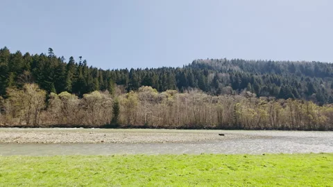 Spring forest landscape with green meadow and flowing river under clear sky Stock Footage 307532603