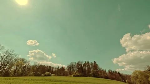 Spring on the forest meadow, fresh grass, sunny sky Video stock 334592265