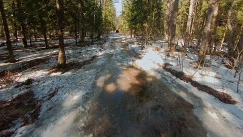 Spring forest with melted snow, snow covered road, light shining through the Stock Footage 262628262