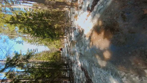 Spring forest with melted snow, snow covered road, light shining through the Stock Footage 263077245