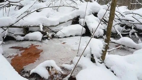 Spring in the forest. The melted stream Vidéo 72335411