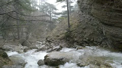 Spring forest mountain river Stock Footage