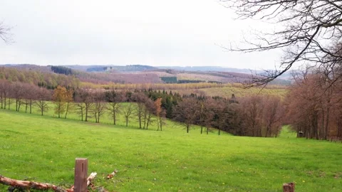 The spring forest mountains of the siegerland in germany Stock Footage 153936879