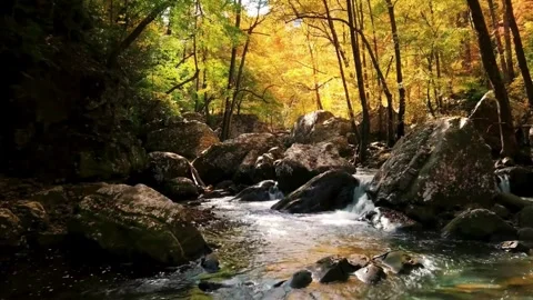 Spring forest nature landscape, beautiful spring stream, river rocks in moun Stock Footage 309164168