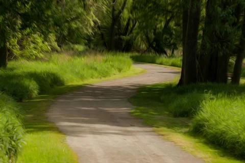 Spring forest Stock Photos