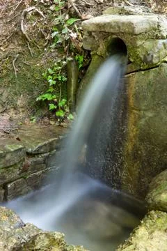 Spring in forest Stock Photos