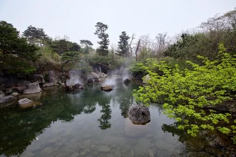 Spring forest pond in Korea Stock Photos
