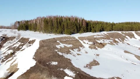 Spring forest ravines and stream Stock Footage 196142708
