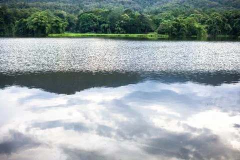 Spring forest is reflected in the river Stock Photos