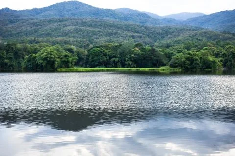 Spring forest is reflected in the river Stock Photos