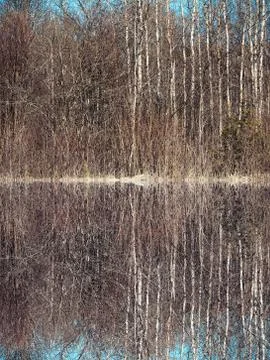 Spring forest reflected in water Stock Photos
