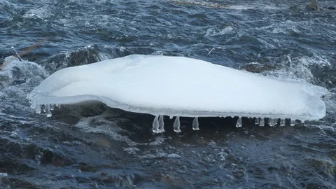 Spring forest river. Melting ice on the river, white snow on the river banks Stock Footage 125291481