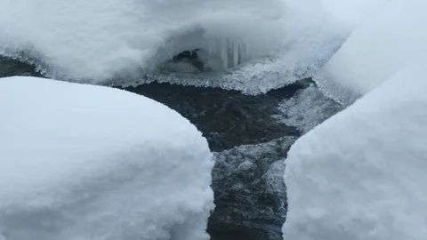 Spring forest river. Melting ice on the river, white snow on the river banks Stock Footage 125293859