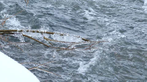 Spring forest river. Melting ice on the river, white snow on the river banks Stock Footage 125301486