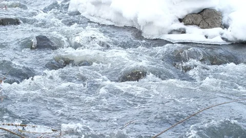 Spring forest river. Melting ice on the river, white snow on the river banks Stock Footage 125301898
