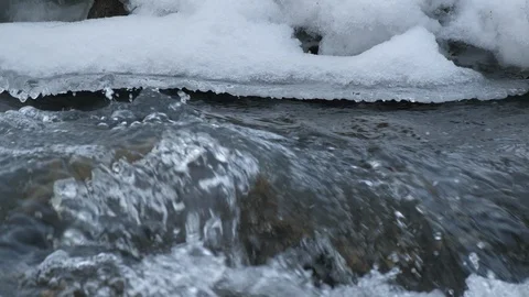 Spring forest river. Melting ice on the river, white snow on the river banks Stock Footage 125303202