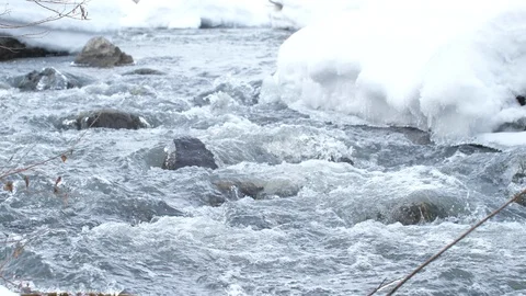 Spring forest river. Melting ice on the river, white snow on the river banks Stock Footage 125303753