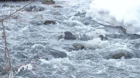Spring forest river. Melting ice on the river, white snow on the river banks Stock Footage 125304247