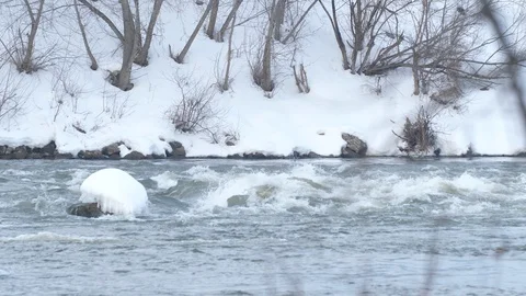 Spring forest river. Melting ice on the river, white snow on the river banks Stock Footage 125305347