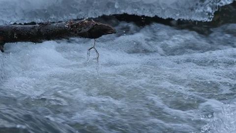 Spring forest river. Melting ice on the river, white snow on the river banks Stock Footage 125306670