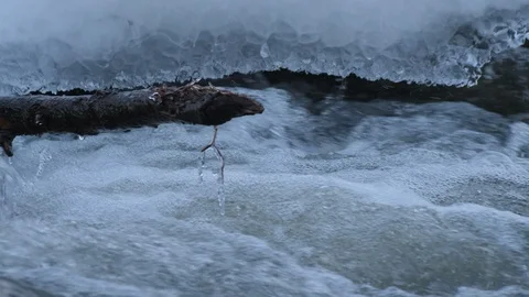 Spring forest river. Melting ice on the river, white snow on the river banks Stock Footage 125309103