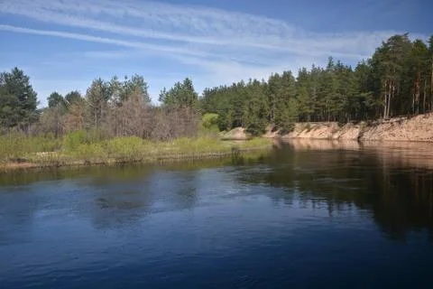 Spring on the forest river. Stock Photos