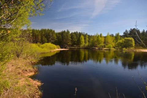 Spring on the forest river. Stock Photos