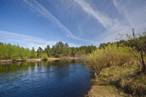 Spring on the forest river. Stock Photos