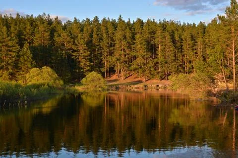 Spring on the forest river. Stock Photos