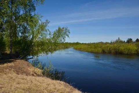 Spring on the forest river. Stock Photos