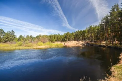 Spring on the forest river. Stock Photos