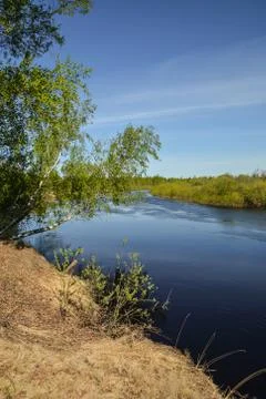 Spring on the forest river. Stock Photos