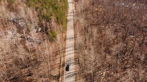 Spring forest road Stock Footage 146610515