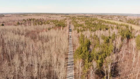 Spring forest road Stock Footage 146611195