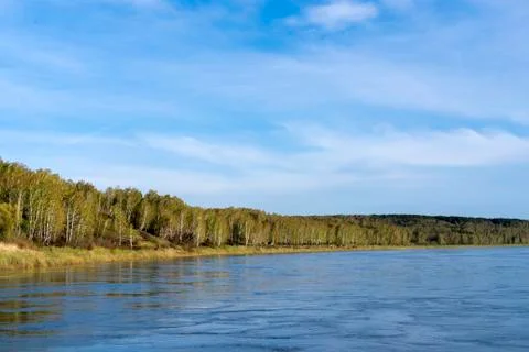 Spring forest on the shore of a deep river Stock Photos