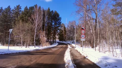 Spring forest with snow in bright sun Stock Footage 237445196