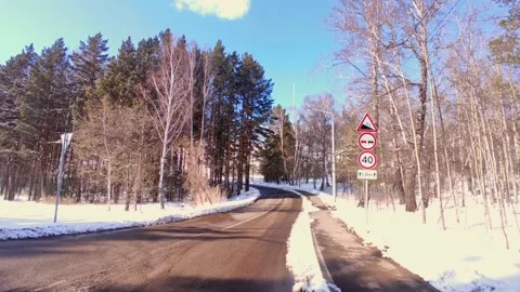 Spring forest with snow in bright sun Stock Footage 237445261