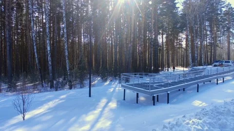 Spring forest with snow in bright sun Stock Footage 237445293