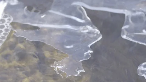 Spring forest stream ice formation Stockbeeldmateriaal 87339736