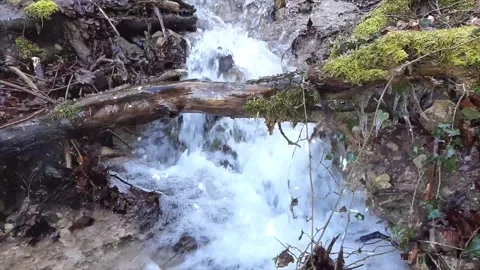 Spring Forest Waterfall Turning Into Heavy Winter Snowstorm Stock Footage 330278378